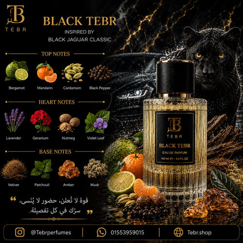 Black Tebr fragrance note pyramid — top, heart and base notes