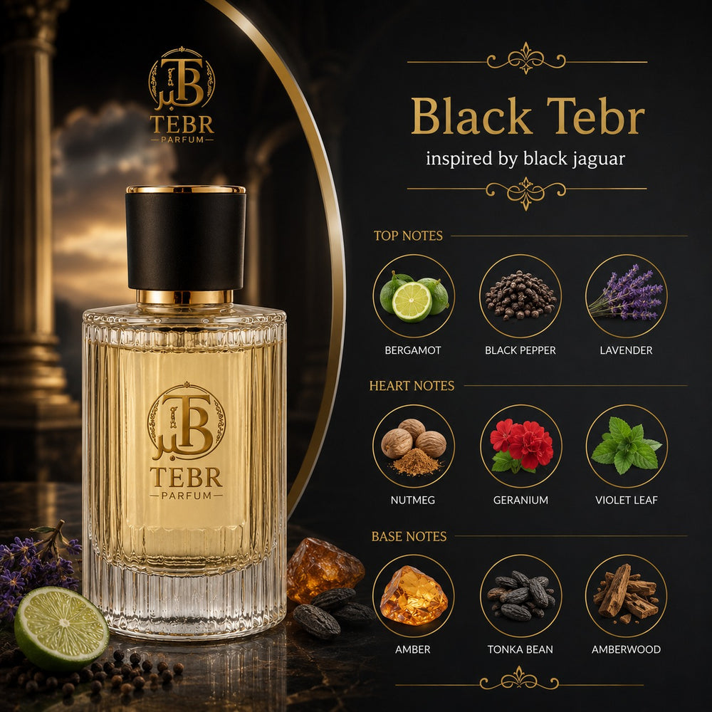Black Tebr fragrance note pyramid — top, heart and base notes