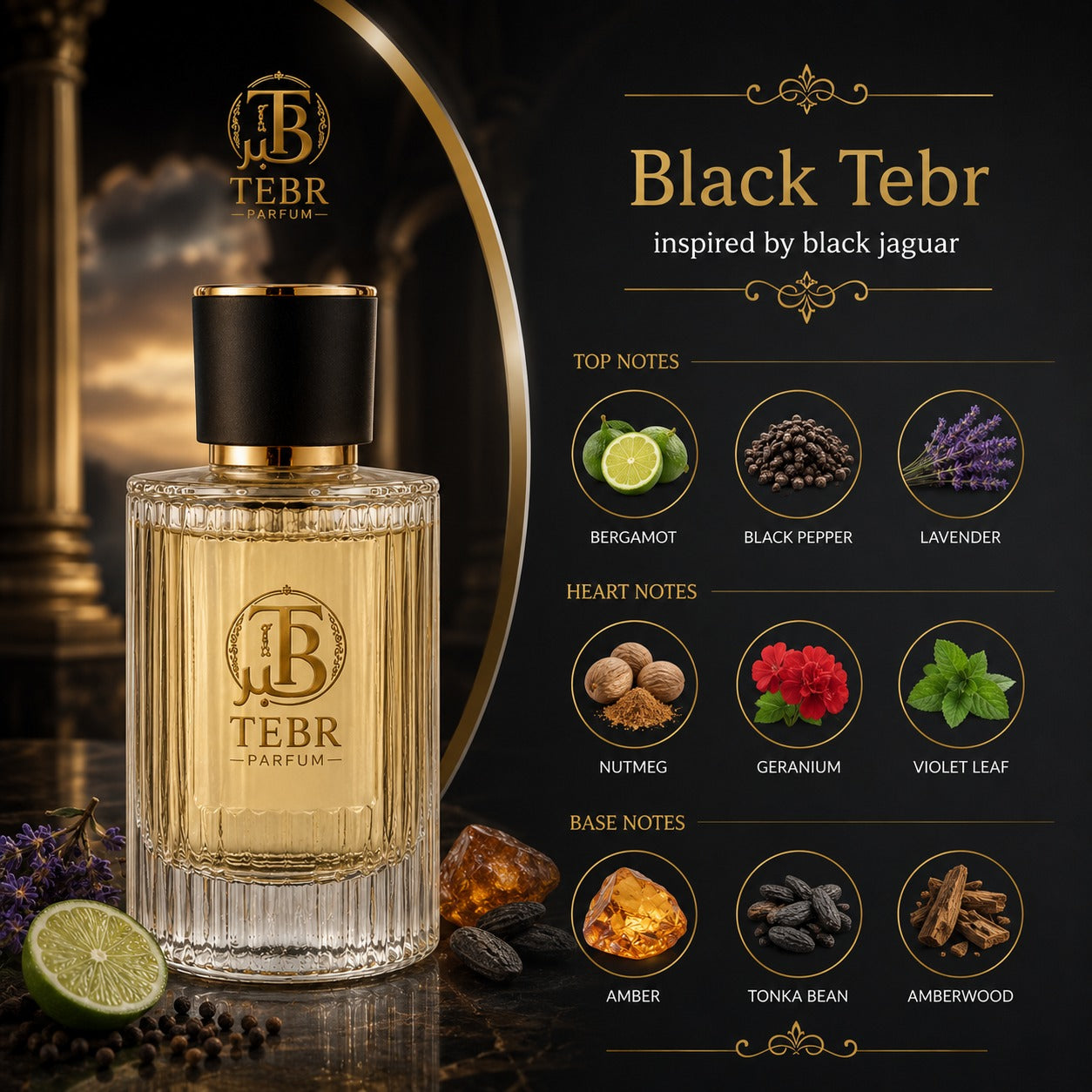 Black Tebr fragrance note pyramid — top, heart and base notes